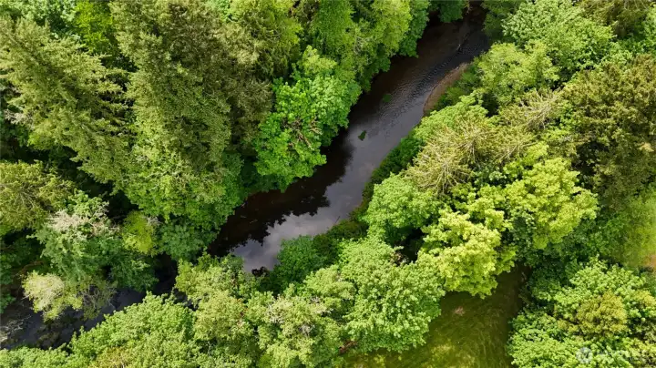 Beautiful Olequah Creek along back of property with high bank.