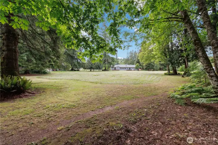 View of back of home and acreage from forest.