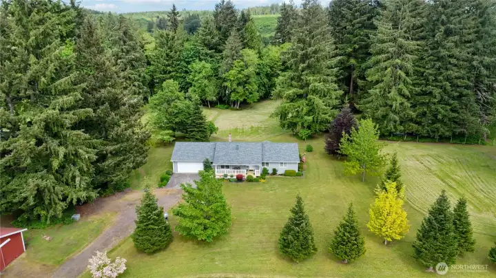 Variety of trees, plenty of parking.