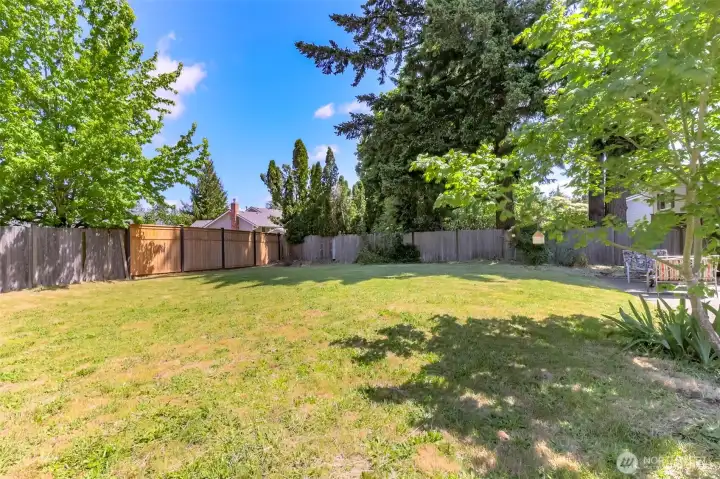Big backyard