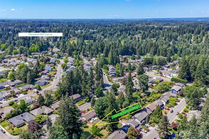 Aerial view-golf course