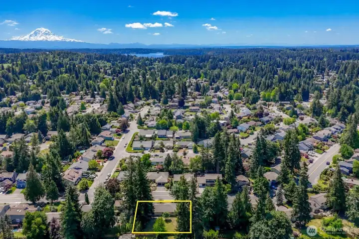 Aerial view Mt Raininer