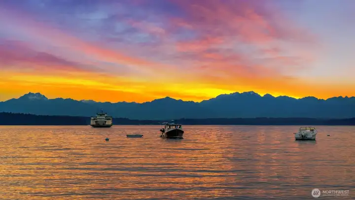 Watch the iconic panorama from the comfort of your home.