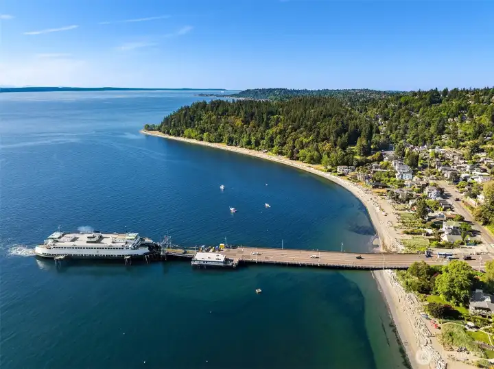 This picture truly highlights the golden shore with Lincoln Park on the north side.