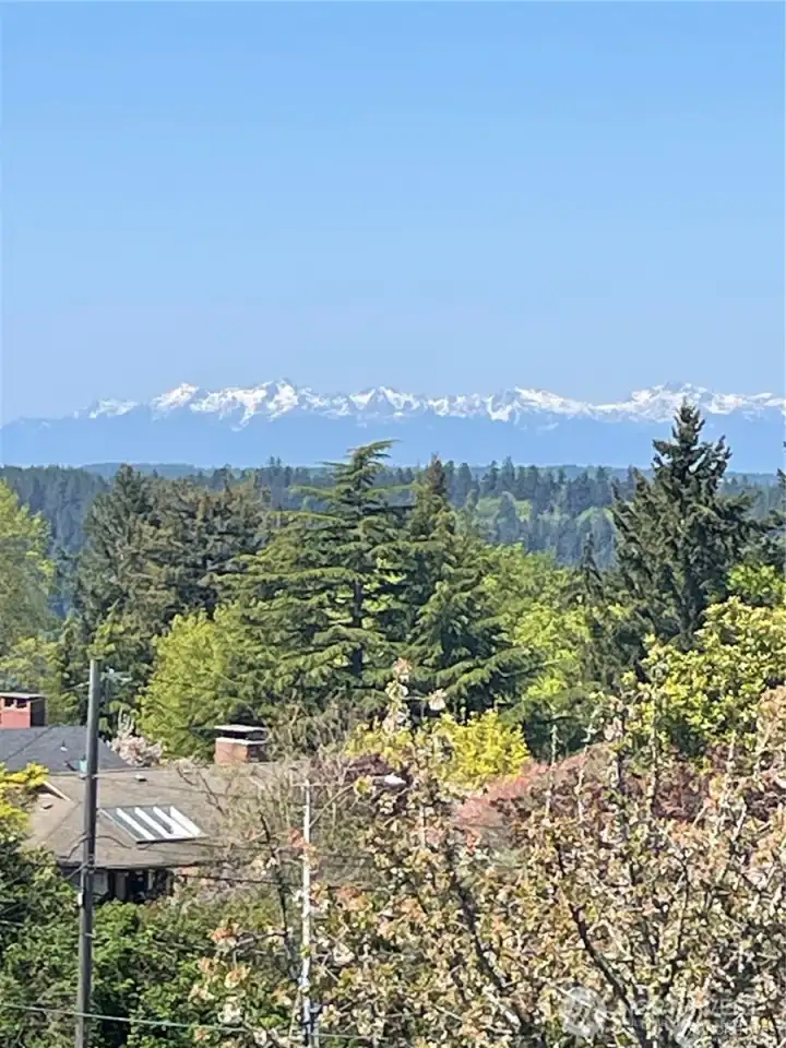 On a clear day you can see the Canadian mountains making this view even more captivating.
