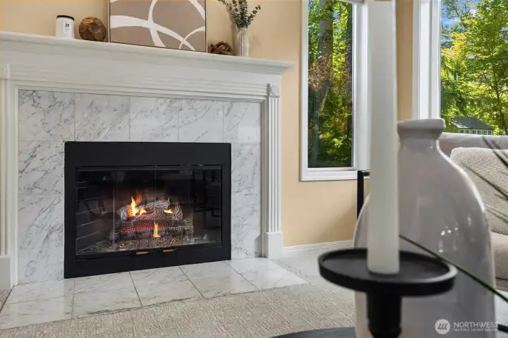 Gas fireplace Gas fireplace