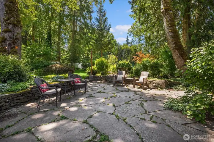 Lush backyard - perfect for entertaining! Lush backyard - perfect for entertaining!