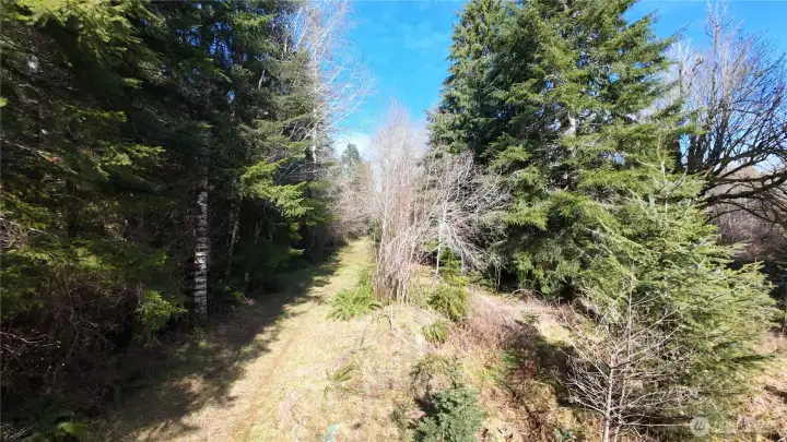 Easement through lot 3