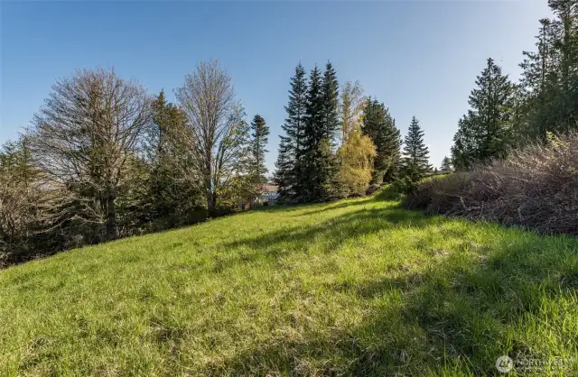 build your custom home here