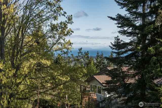 sunny Sequim