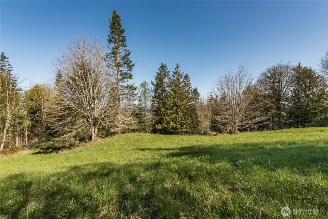 yard space