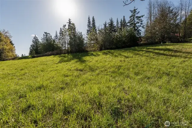 sunny Sequim