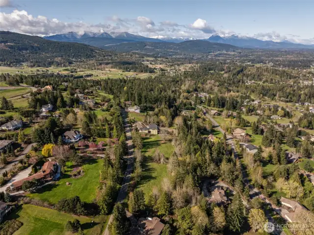 Aerial Views