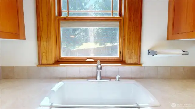 Kitchen sink window overlooks the mature backyard landscape