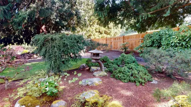 The backyard is a fully fenced sanctuary