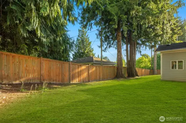 Fenced back yard.