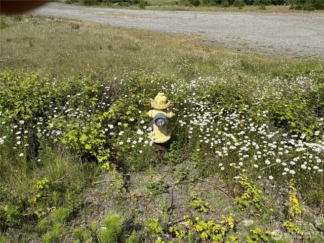 Water on property