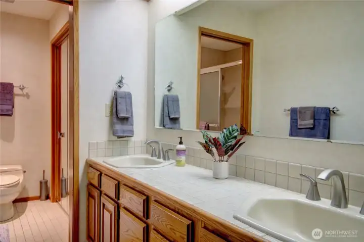 Primary bathroom with walk-in shower.