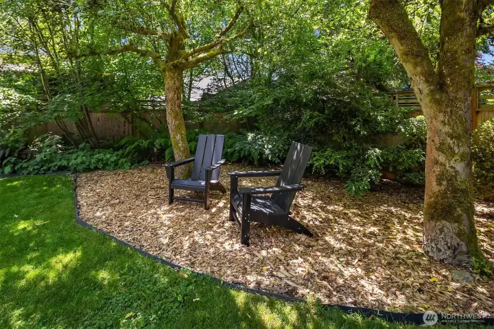 Secluded yard