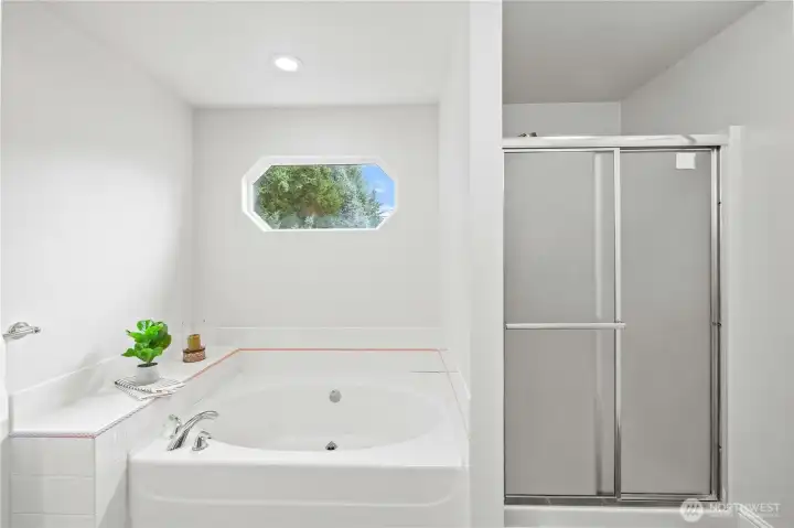 Soaker Tub w/ Separate Shower