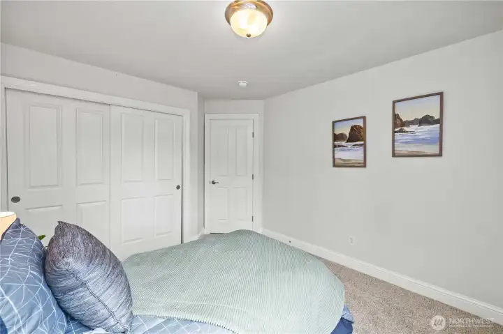 Plush Carpet