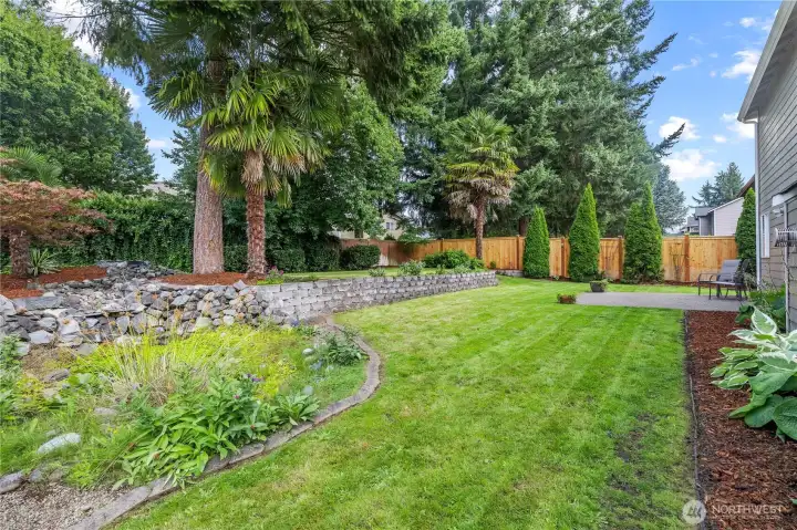 Massive Backyard & fully fenced