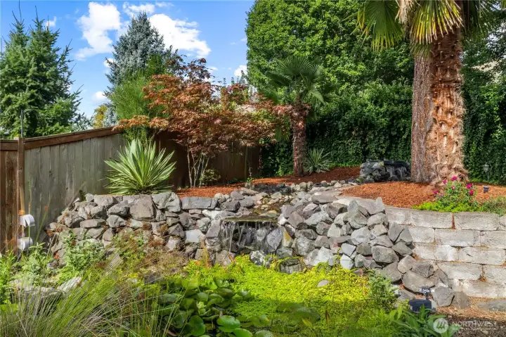 Waterfall Pond