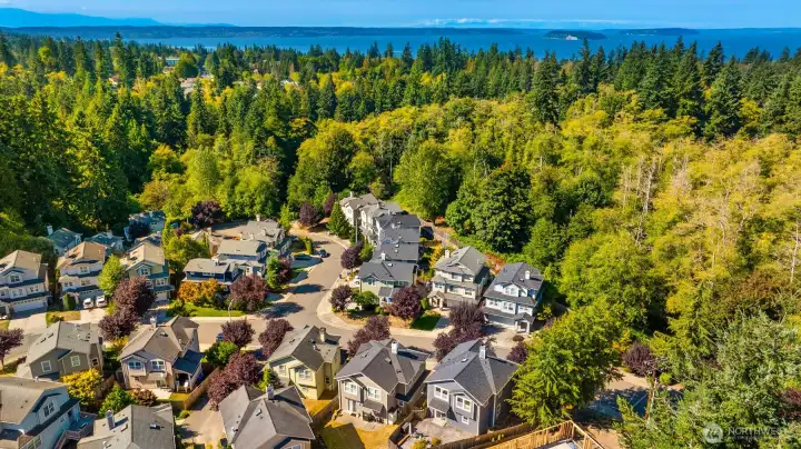 Located in beautiful Forest Park!