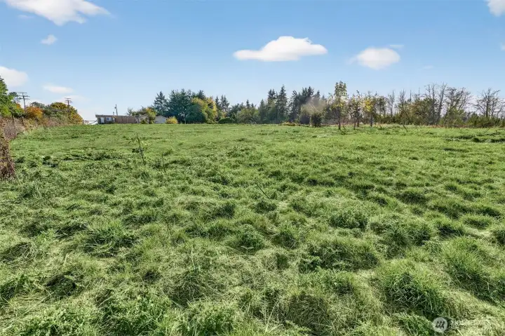 Lush pasture land surrounds the loafing shed.