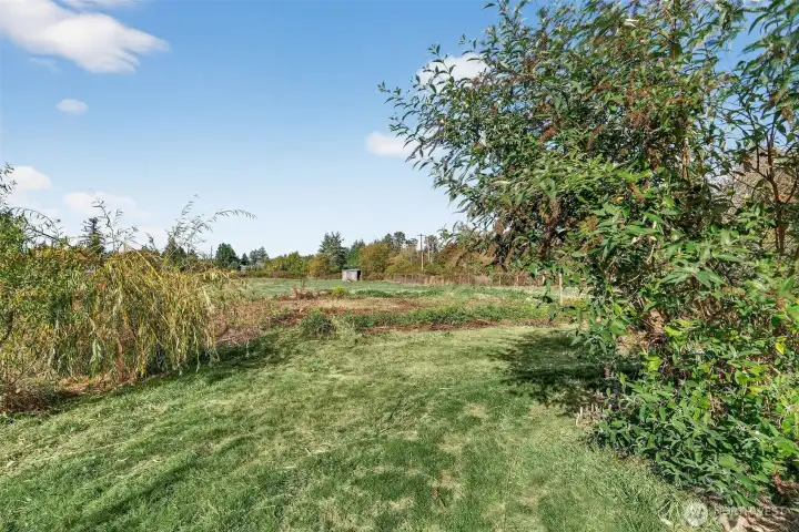 Looking north from back at the pasture.
