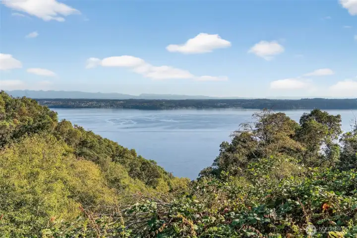 South end of lot extends past 248th and over looks a natural park and the sound.