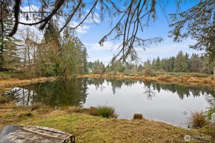Private Pond Stocked with Fish
