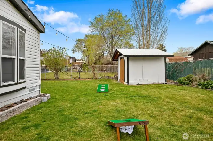 fruit trees and rose bushes growing along the fence line