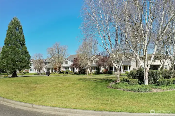 The home faces a community HOA maintained greenspace for play.