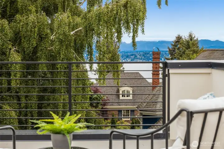 Unwind above the city in a rooftop oasis framed by trees and blue skies.