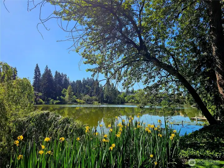 Welcome to Echo Lake Waterfront Condominiums. This is a waterfront complex set on the shores of Echo Lake. The unit is just a short walk to the private gated waterfront beach which boasts a private community dock, expansive grassy yard, benches, and shade.