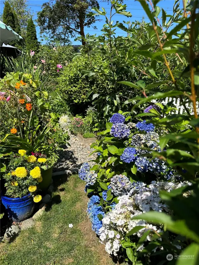 Spring blooms in your own backyard