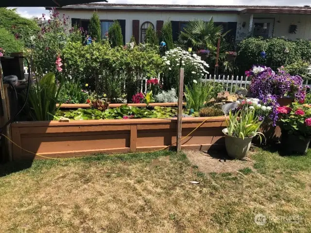 Spring blooms & water feature in your own backyard