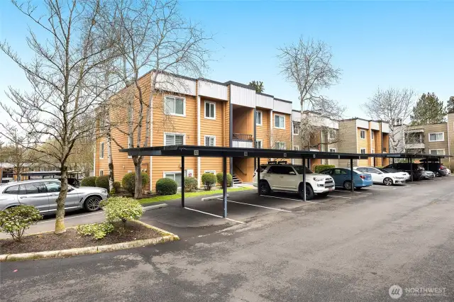 1 carport parking space (#12)