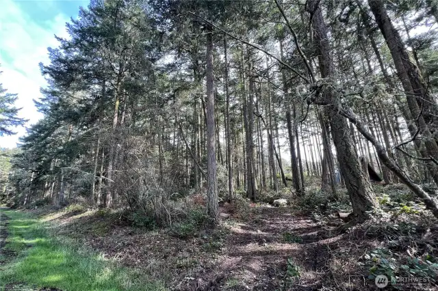 Beginning of driveway into property