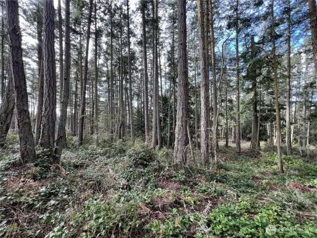 Facing South
