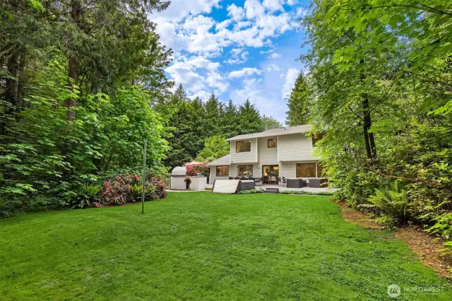 Stunning backyard.
