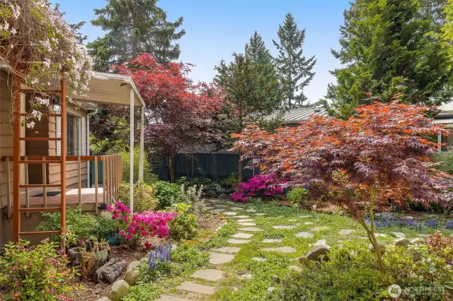 Beautiful Garden Oasis.