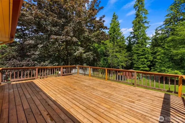 Huge back deck overlooking back yards and woods