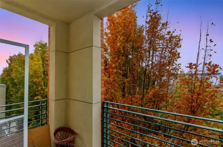 Views from private patio/deck.