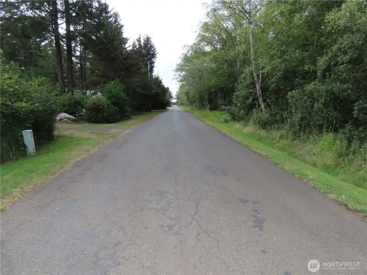 Road to the beach