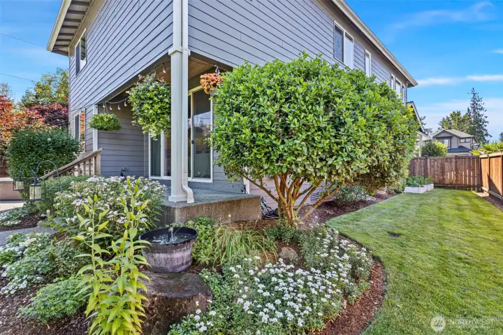 With native perennials, evergreens and shrubs that offer privacy and color all year round.