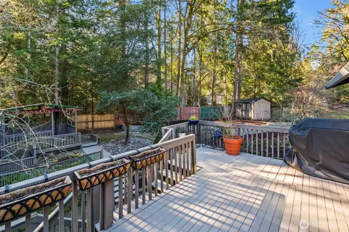 Stairs heading down to the yard and all the amenities.