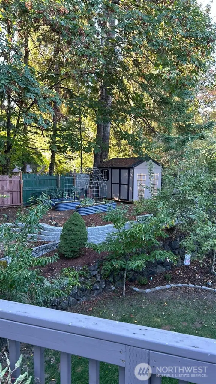 See how lush and green the backyard can get! (Photo taken by Seller in Summer 2025)
