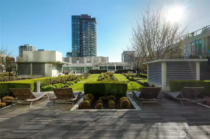 Manicured gardens & grounds off the gym, indoor pool & BBQ area located on the 7th floor.
